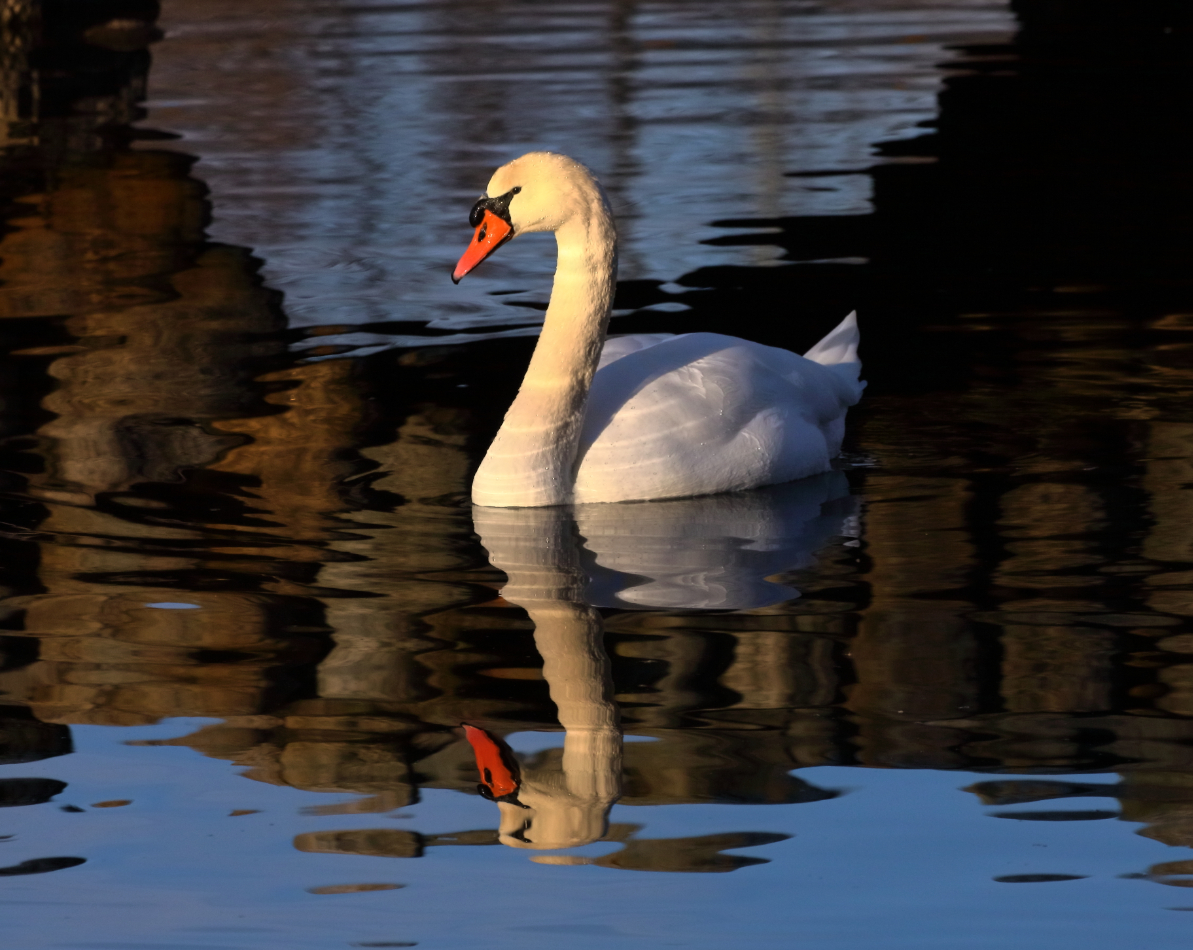 2015 01 17 HTP 000019770e (2)